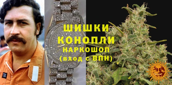 прущие грибы Богородицк