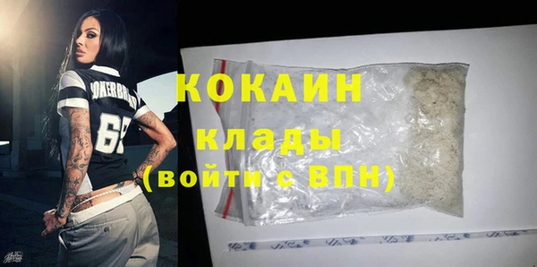 прущие грибы Богородицк