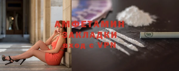 прущие грибы Богородицк