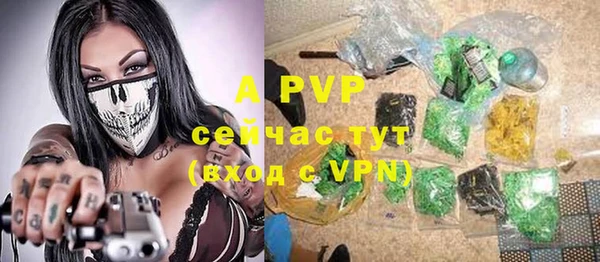 прущие грибы Богородицк