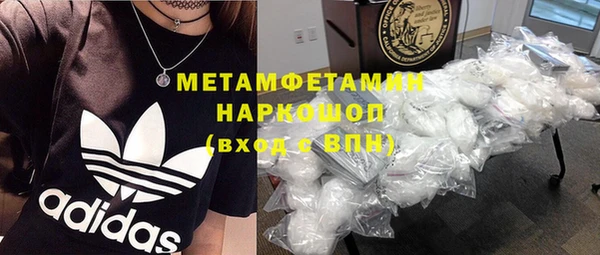 прущие грибы Богородицк