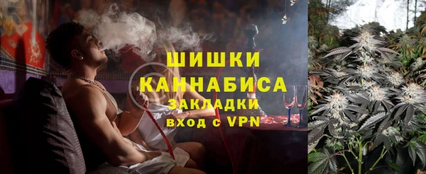 прущие грибы Богородицк