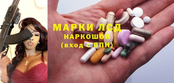 прущие грибы Богородицк