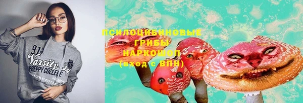 дживик Богданович