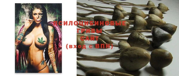 дживик Богданович