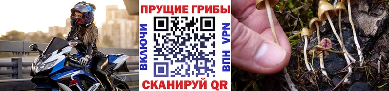 Галлюциногенные грибы MAGIC MUSHROOMS  закладки  нарко площадка как зайти  Березники 